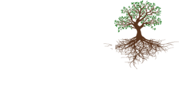 Orchard Consulting Group
